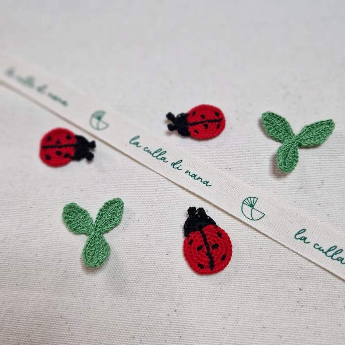 laculladinana_coccinelle